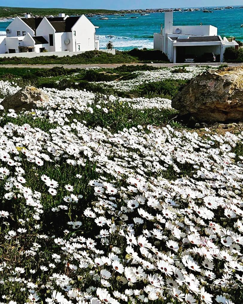 Sonkwas 10 Holiday home Paternoster